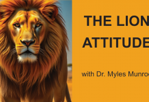 The Lion Attitude – Become a Leader
