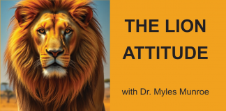 The Lion Attitude – Become a Leader