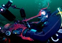 Octopus Playing With Divers Grabs the Camera and Takes Underwater Selfie (WATCH)