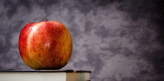 New York City Expands Universal Pre-K Program, Offering Free Education to Thousands More Children