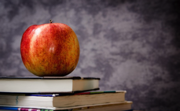 New York City Expands Universal Pre-K Program, Offering Free Education to Thousands More Children