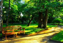 Asheboro Community Rallies Together to Revive Neighborhood Park, Transforming It into a Hub for Connection and Joy