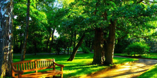 Asheboro Community Rallies Together to Revive Neighborhood Park, Transforming It into a Hub for Connection and Joy